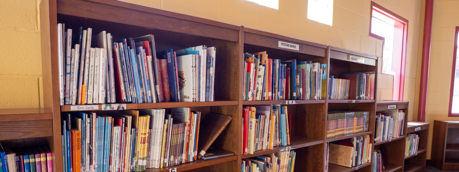shelves of books in the library